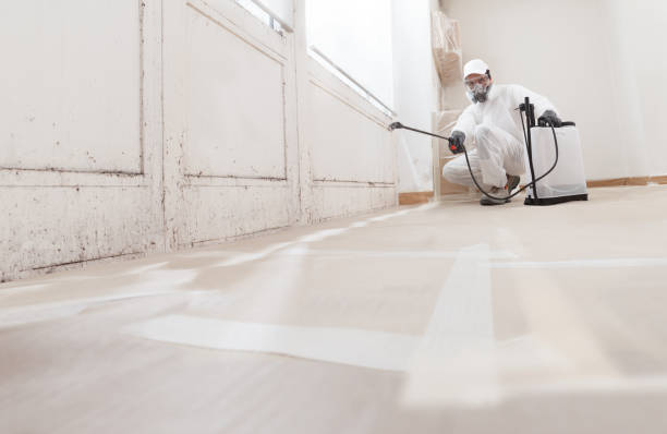 24/7 Emergency Attic Mold Remediation experts in Madison, GA