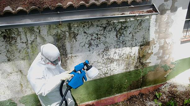 Top rated local Attic Mold Remediation specialists in Madison, GA